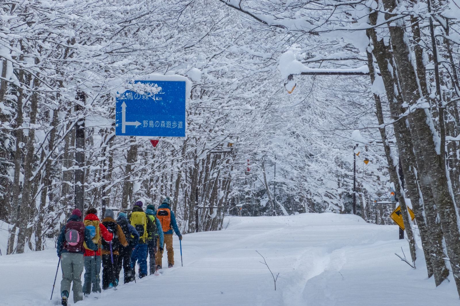Hokkaido, Giappone — backcountry su neve leggera